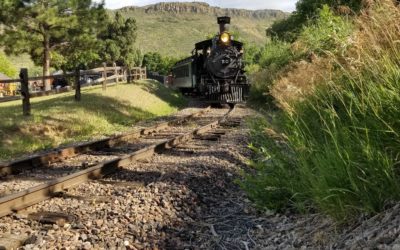 #TriviaTuesday – July 14, 2020