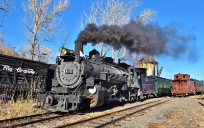 Big Train Tours: 491