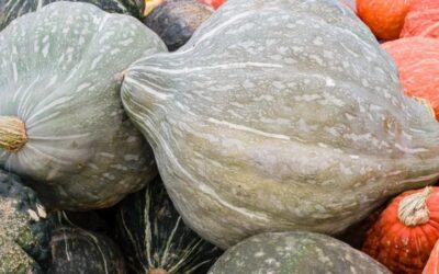 Dining on the Rails: Baked Hubbard Squash and Autumn Dining Car Menus