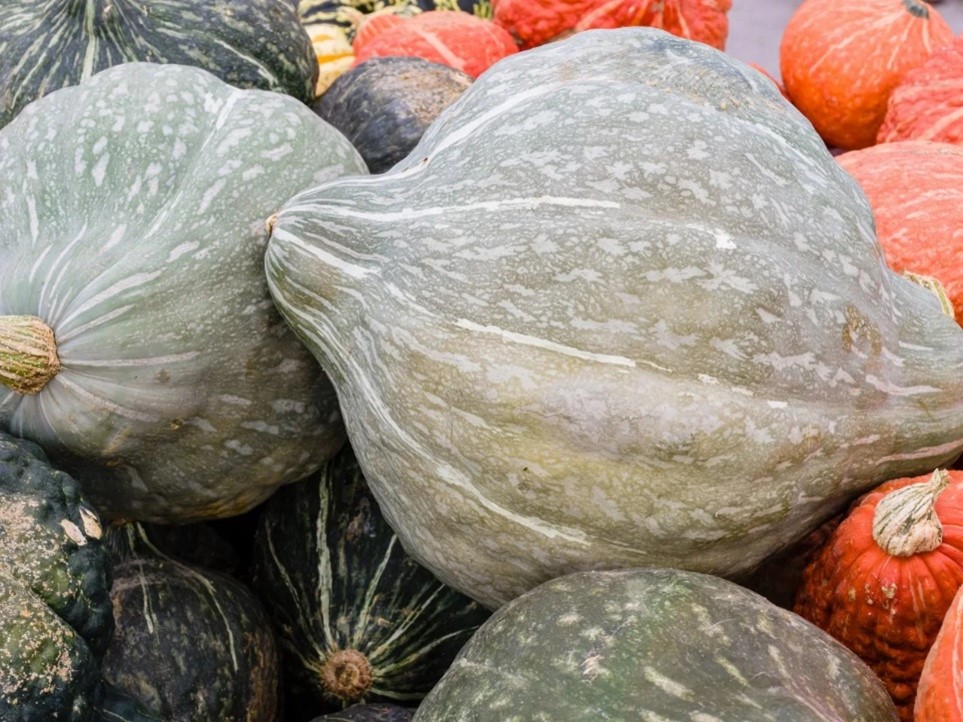 Dining on the Rails: Baked Hubbard Squash and Autumn Dining Car Menus